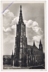 Ulm, Münster