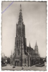 Ulm, Münster