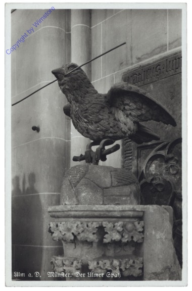 Ulm, Münster, Der Ulmer Spatz