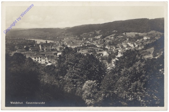Waldshut, Gesamtansicht