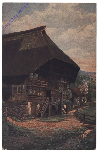 ak126929 Im Schwarzwald (Morgenstimmung)