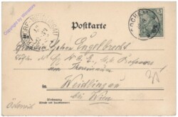 Kochem, Die Burg mit der Mosel