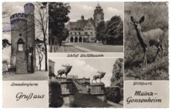 Mainz, Gruss aus Mainz-Gonsenheim, Multiansicht