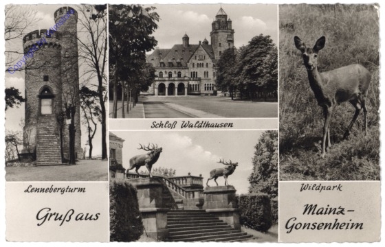 ak127071 Mainz, Gruss aus Mainz-Gonsenheim, Multiansicht