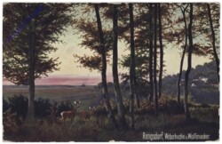 Rengsdorf, Weberbuche u. Wolfenacker