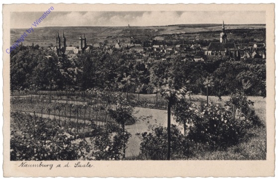 ak127266 Naumburg, Ortsansicht