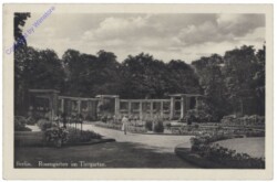 Berlin, Rosengarten im Tiergarten