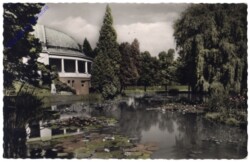 Bad Wildungen, Seerosenteich im Kurpark