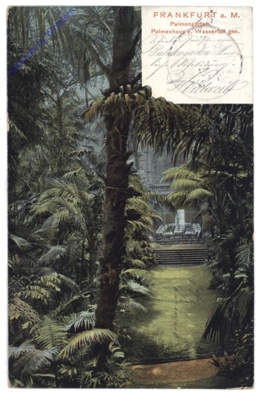 Frankfurt am Main, Palmengarten, Palmenhaus v. Wasserfall ges.