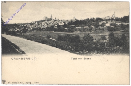 Kronberg im Taunus, Total von Süden