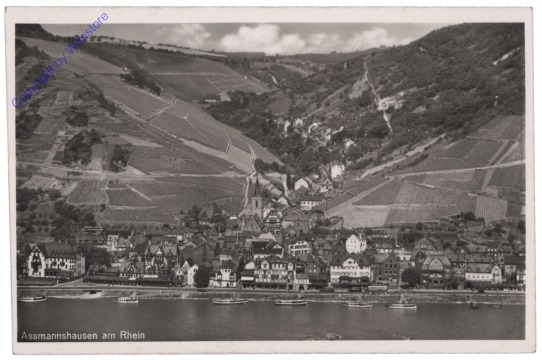 Rüdesheim, Assmannshausen am Rhein