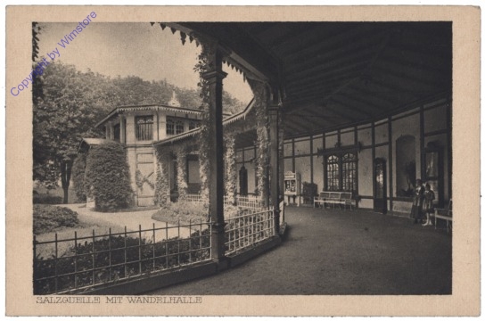 Bad Elster, Salzquelle mit Wandelhalle