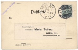 Bad Schandau, Ortsansicht