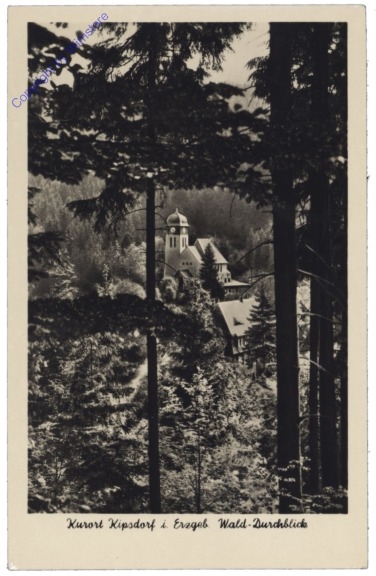 Kipsdorf, Wald-Durchblick
