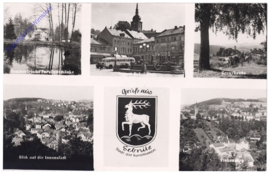 Sebnitz, Multiansicht