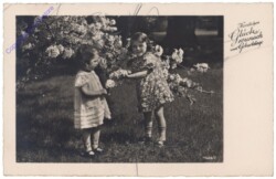 Kinder bei blühendem Strauch, Geburtstag