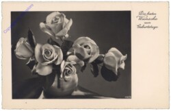 Rosen in Vase, Geburtstag