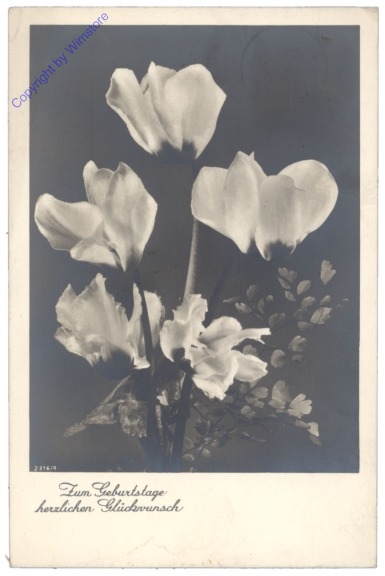 Blumen, Geburtstag