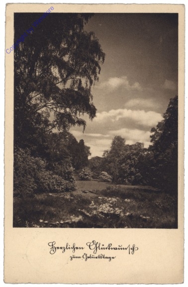 ak128258 Landschaft, Geburtstag