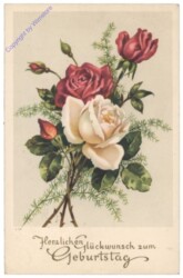 ak128260 Rosen, Geburtstag