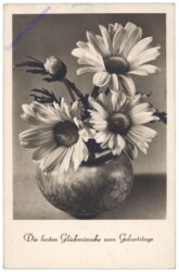 Margarithen in Vase, Geburtstag