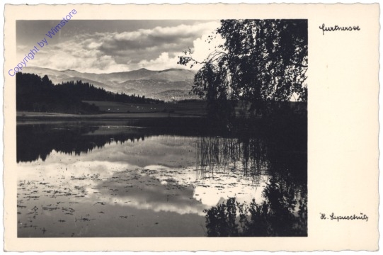 Frein an der Mürz, Furtnersee