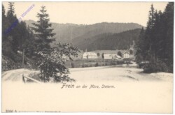 Frein an der Mürz, Ortsansicht