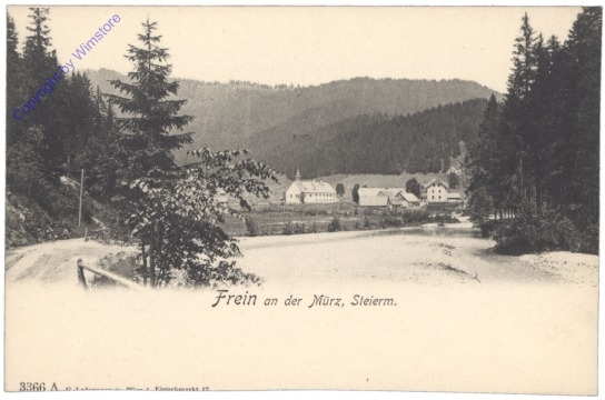 Frein an der Mürz, Ortsansicht