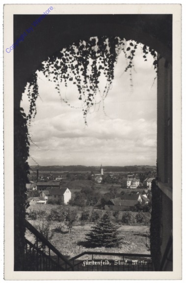 Fürstenfeld, Motiv