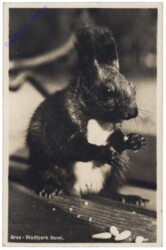 Graz, Stadtpark Hansi