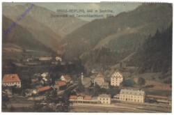 Großreifling, mit Tamischbachturm