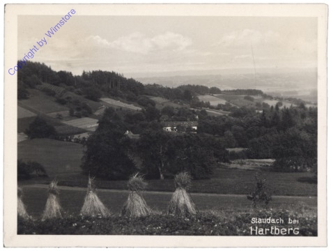 Hartberg, Staudach