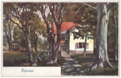 ak128869 Haselsdorf-Tobelbad, Ansicht