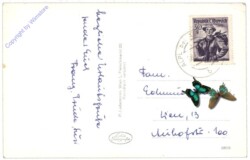 Krieglach, Alpl (Waldheimat) Gasthof Leitner (Holzbauer)