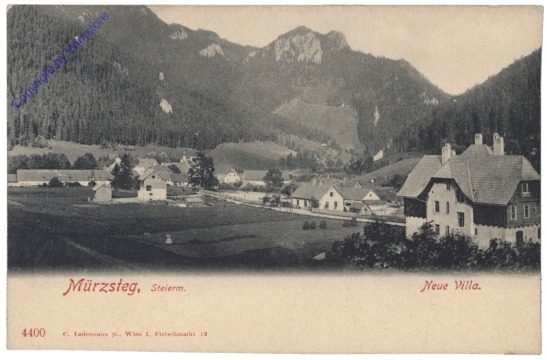 ak129335 Mürzsteg, Neue Villa
