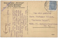 Mürzzuschlag, Alpenhotel Bärenkogel