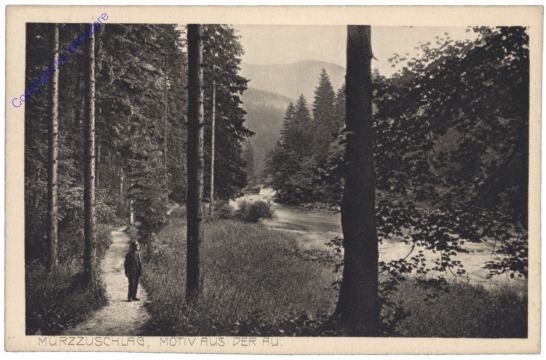 Mürzzuschlag, Motiv aus der Au