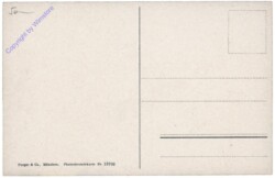 Mürzzuschlag, Phönix-Stahlwerke