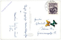 Neuberg, Karlgraben gegen Schneealpe