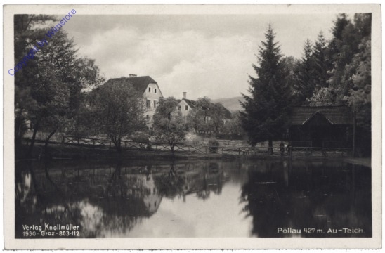 Pöllau bei Hartberg, Au-Teich