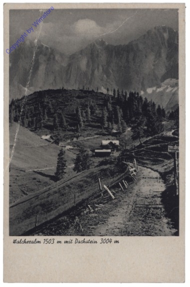 ak129483 Ramsau, Walcheralm mit Dachstein