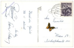 Spital am Semmering, Berghotel Ocherbauer