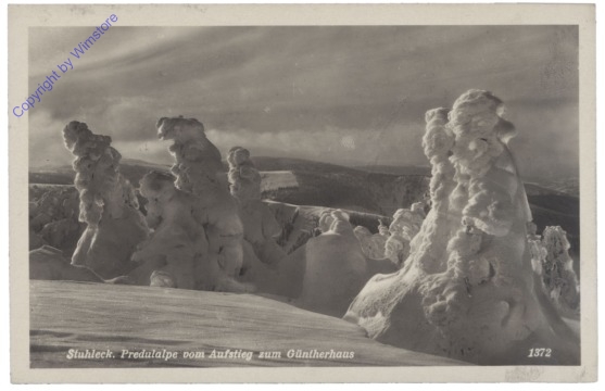 Stuhleck, Pretulalpe vom Aufstieg zum Güntherhaus