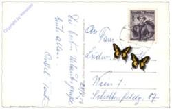 Toplitzsee, Kammer - Toplitz u. Grundlsee