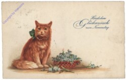 Katze, Namenstag