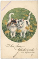 Katzen auf der Wiese, Namenstag