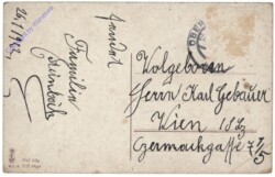 Flieder, Namenstag