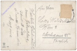 Alpenveilchen, Namenstag