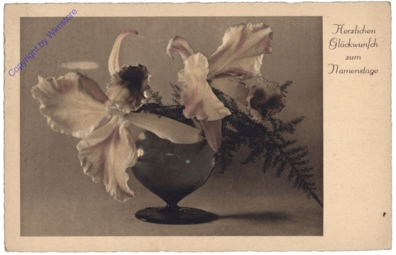 ak129866 Orchideen, Namenstag