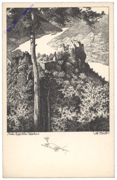 Aggstein a.d. Donau, Ruine